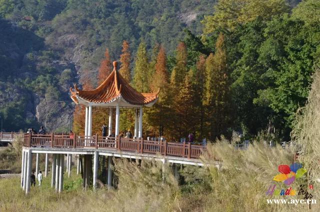 花都旅游景点大汇总,你都去过了吗-广州周边游-热点