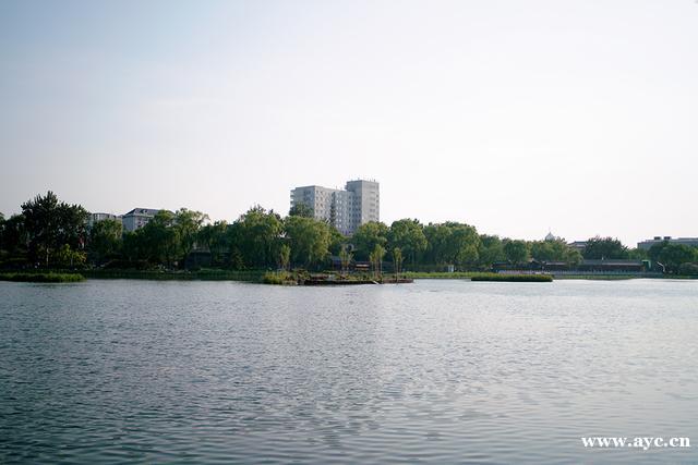 灰调北京，黄调广州：为什么我们的城市是这样的颜色？
