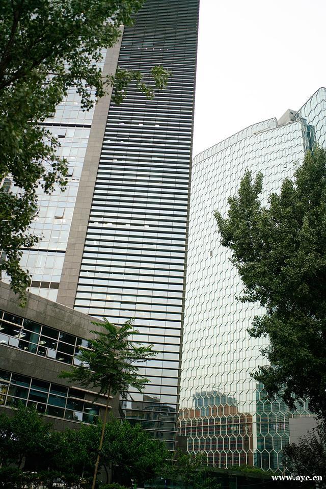 灰调北京，黄调广州：为什么我们的城市是这样的颜色？