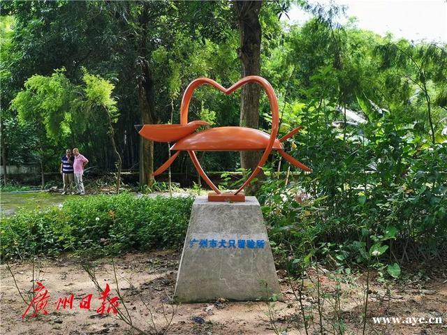 广州这里可以免费领养狗狗！每只都很健康，管理很正规