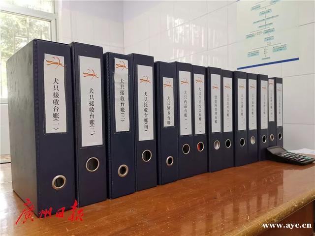 广州这里可以免费领养狗狗！每只都很健康，管理很正规