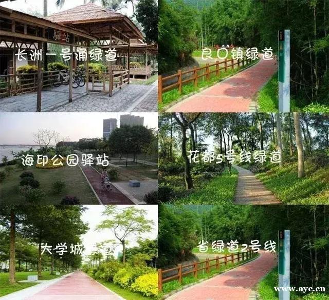 广州继续上榜一线城市！商业魅力指数爆表