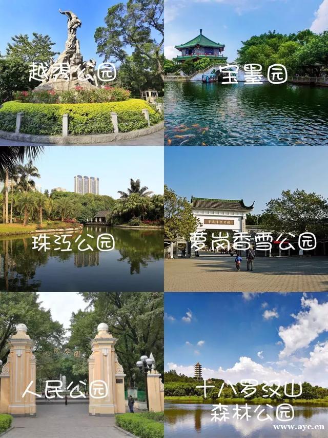 广州继续上榜一线城市！商业魅力指数爆表