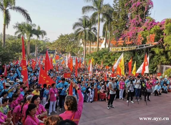 乐享银龄，广州万名老年人齐登白云山