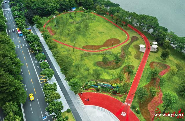 广州“绣花功夫”提升城市“颜值”：行道树将这样种
