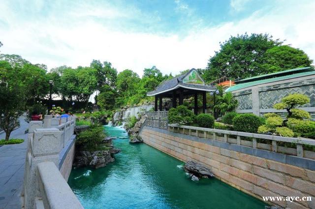 广州147条黑臭水体已全部消除黑臭