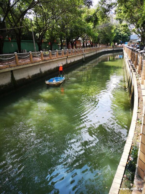 广州147条黑臭水体已全部消除黑臭