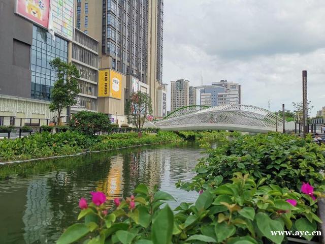 广州147条黑臭水体已全部消除黑臭
