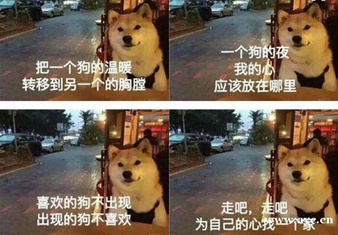 @广州单身，微信72小时对象匹配活动来了