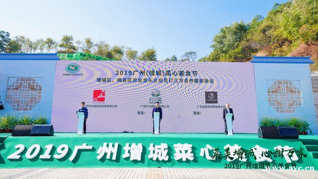 特色美食登上增城菜心美食节，助推消费扶贫