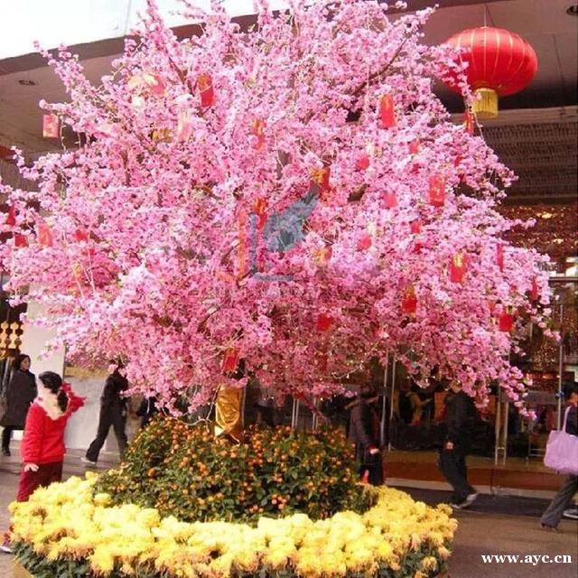 广州人过年，怎能少得了桃花？今年花价有变化