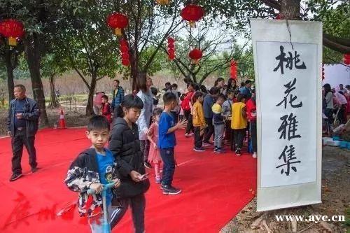 广州人过年，怎能少得了桃花？今年花价有变化