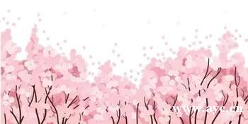 广州人过年，怎能少得了桃花？今年花价有变化