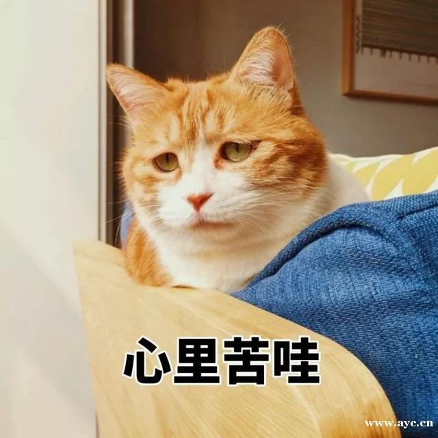 朋友圈配文“奶奶的腿”吐槽交警被行政拘留？警方回应了