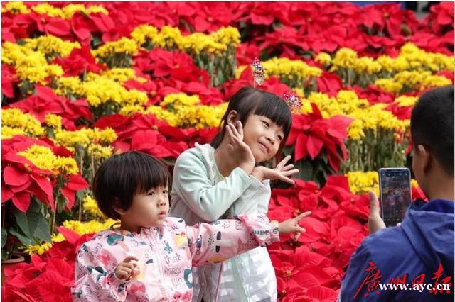 荔枝湾水上花市开埠！水岸花墟藏着“彩蛋”