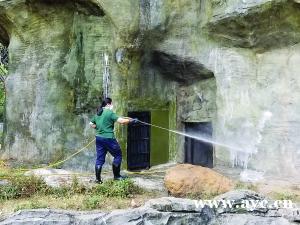 广州动物园昨日起恢复开放 首日逾500人次游客进园游玩