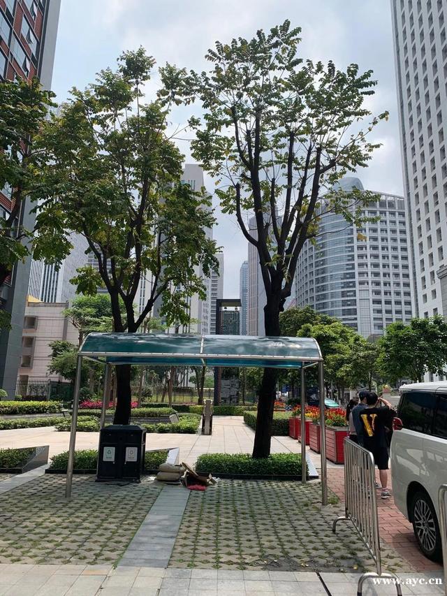 广州不是疫区更不会封城