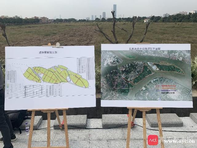 袁隆平院士领衔，在广州黄埔长洲岛打造隆平院士港