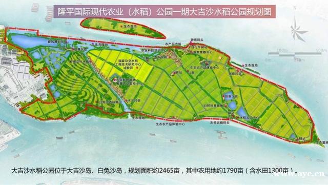 袁隆平院士领衔，在广州黄埔长洲岛打造隆平院士港