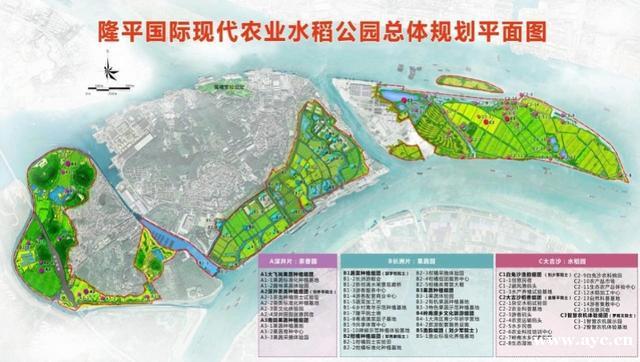 袁隆平院士领衔，在广州黄埔长洲岛打造隆平院士港