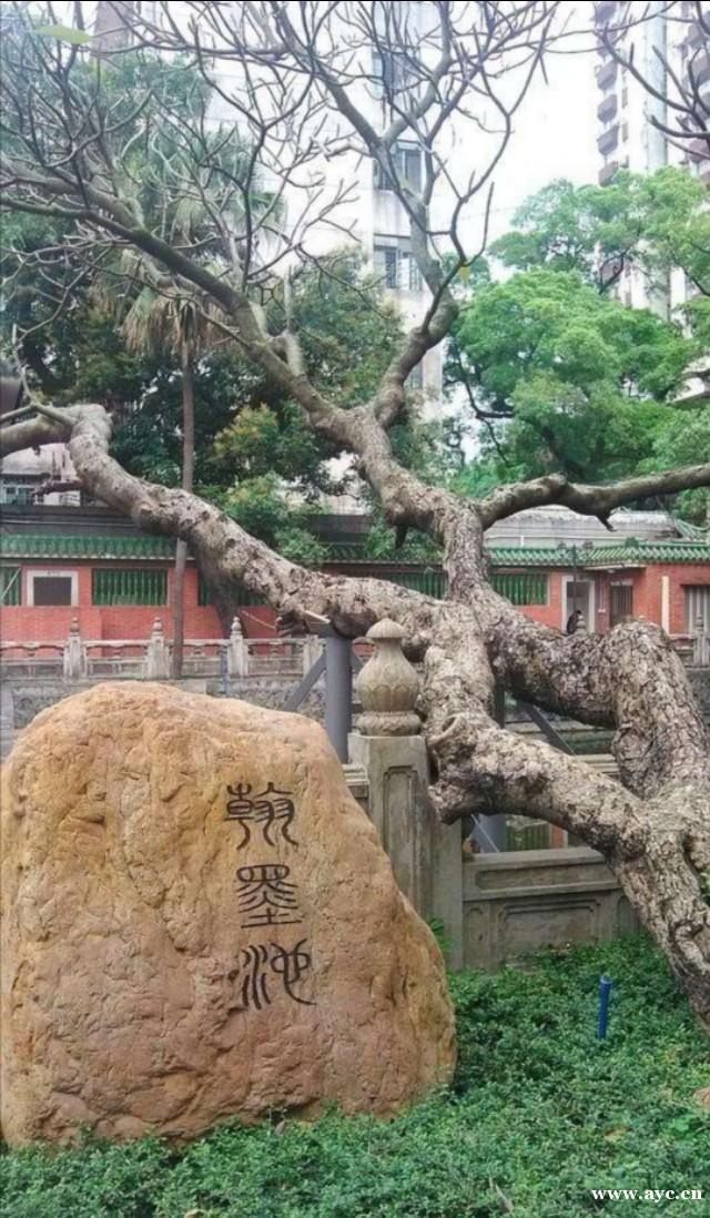 广州为啥叫广州？广州古代史上