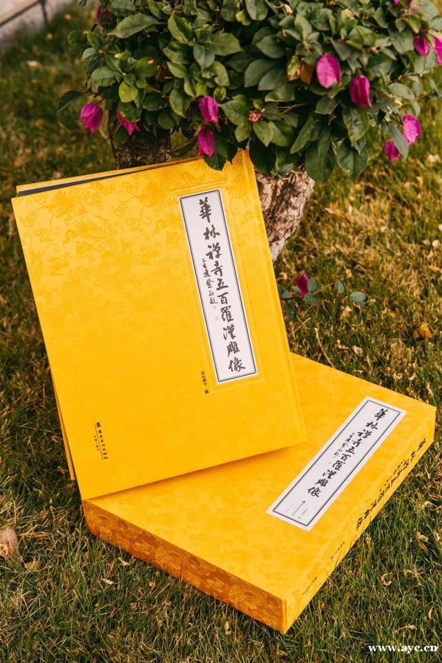 不一样的荔湾，从历史深处走来……