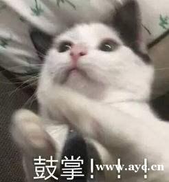 够猛！广州的这些大项目动工了~
