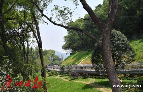 先行先试！形成全国市级国土空间总体规划的“广州样本”