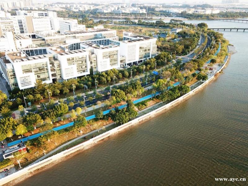 广州市黄埔区构建“三脉一湾”碧道网络，已建成38.7公里