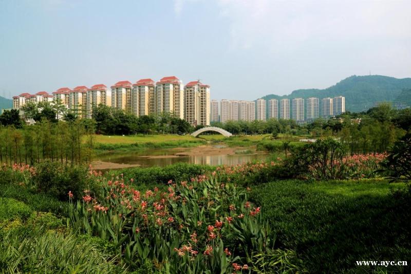 广州市黄埔区构建“三脉一湾”碧道网络，已建成38.7公里