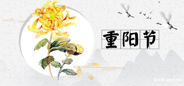 下载.jpg