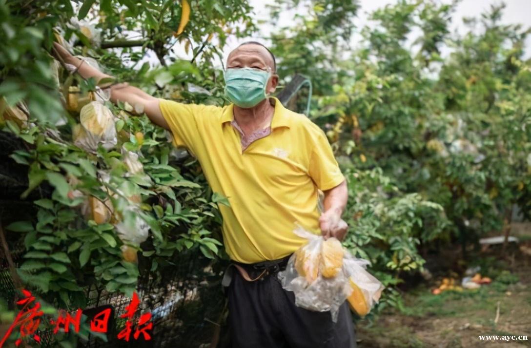 广州第三季度GDP增7.9%，经济恢复动力足韧性强