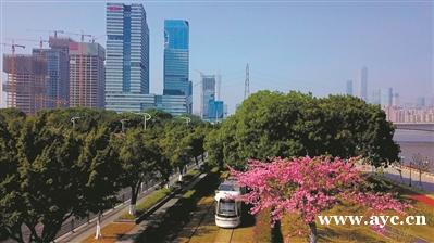 广州琶洲高新区正式获批