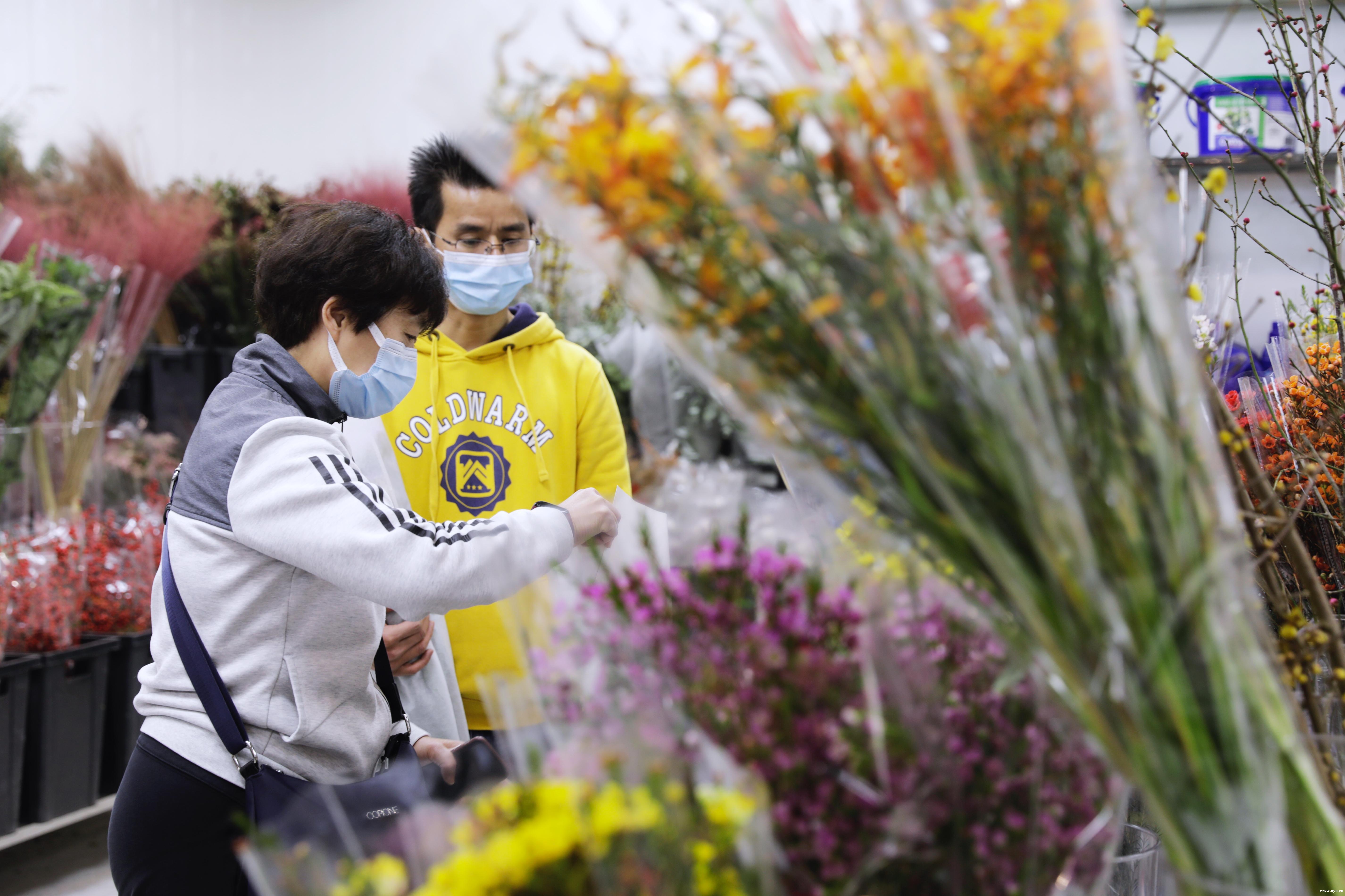 花市规模相继“缩水”？广州买花还有这个好去处
