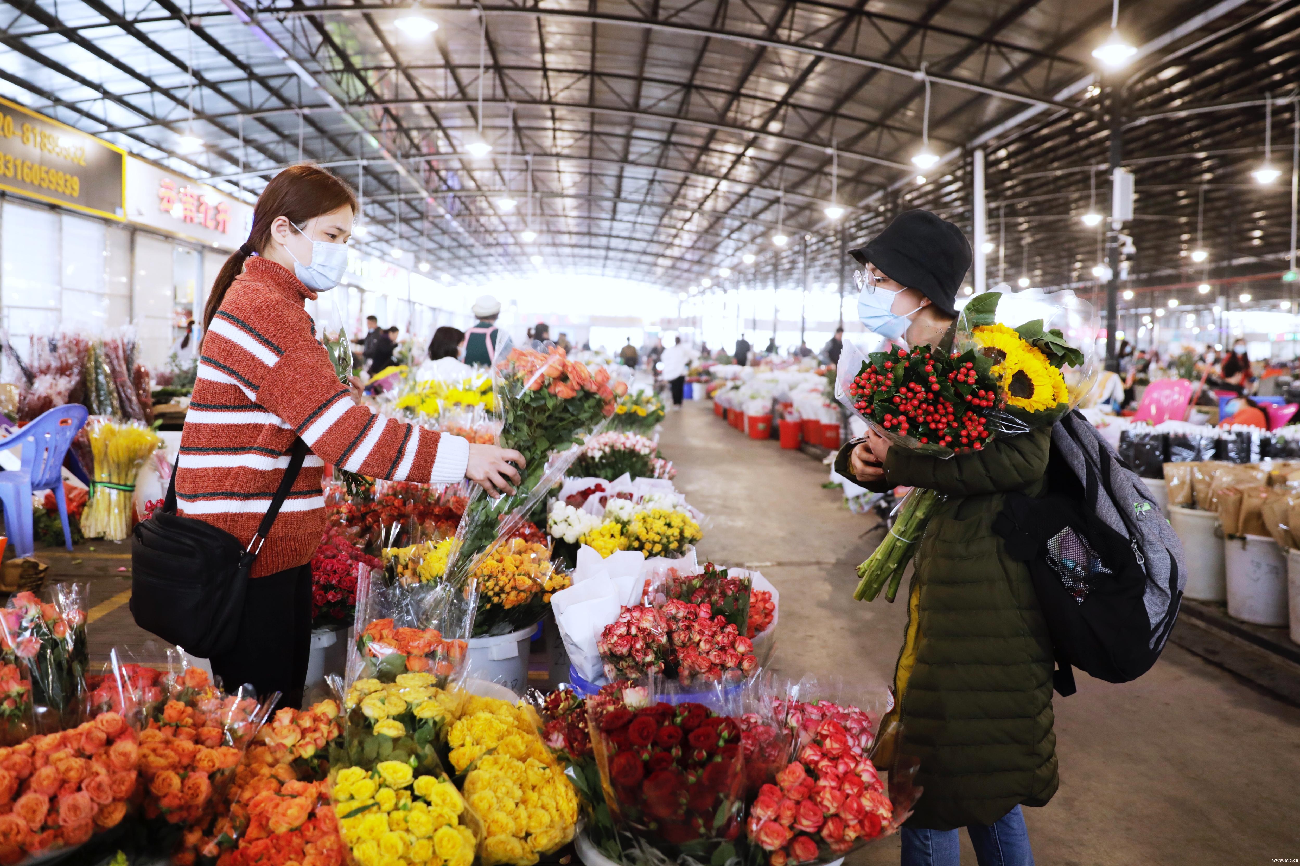 花市规模相继“缩水”？广州买花还有这个好去处