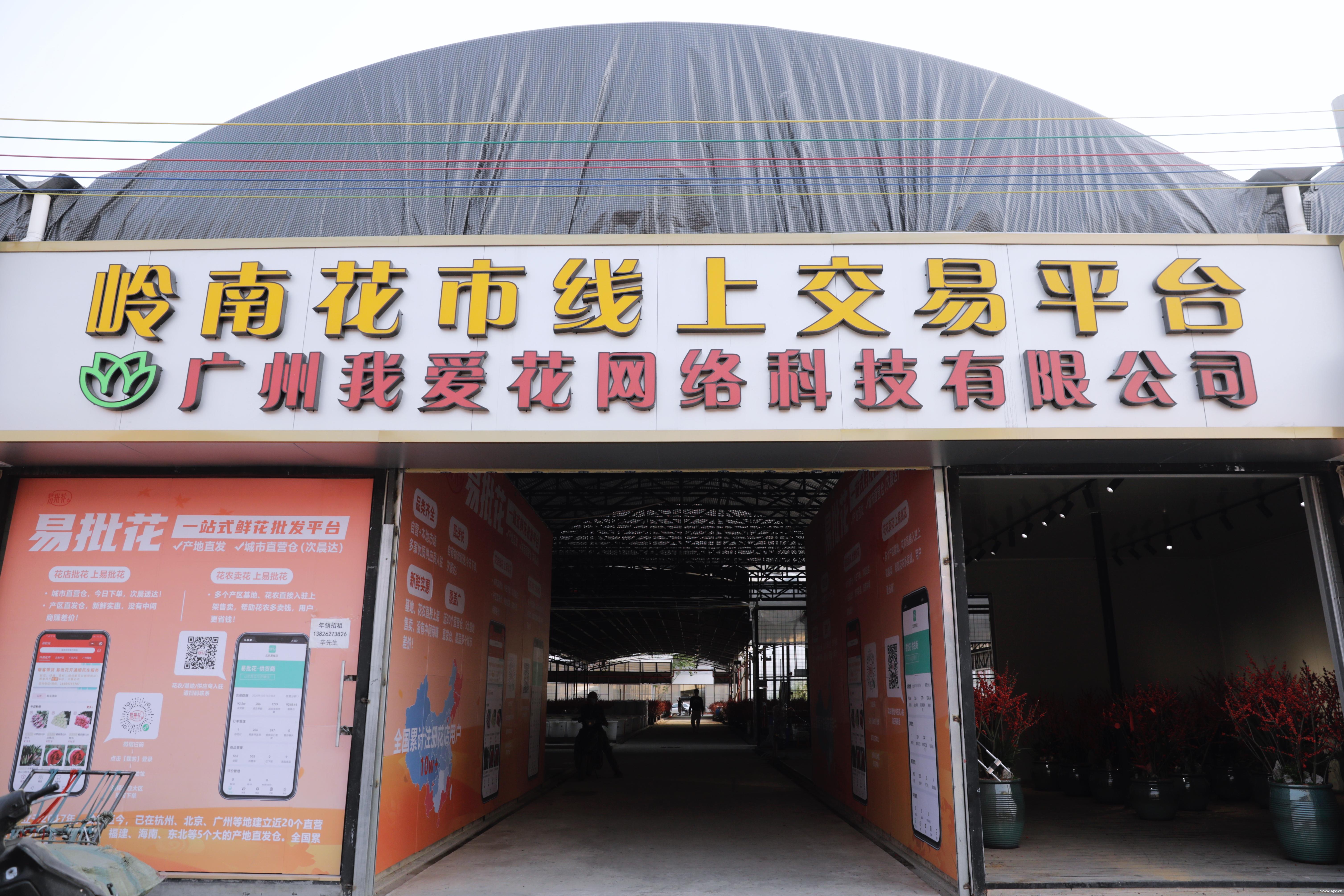 花市规模相继“缩水”？广州买花还有这个好去处