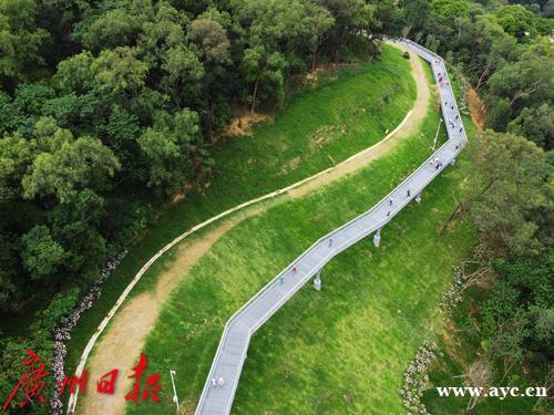 落实碳达峰、碳中和，广州要建设步行和自行车友好城市