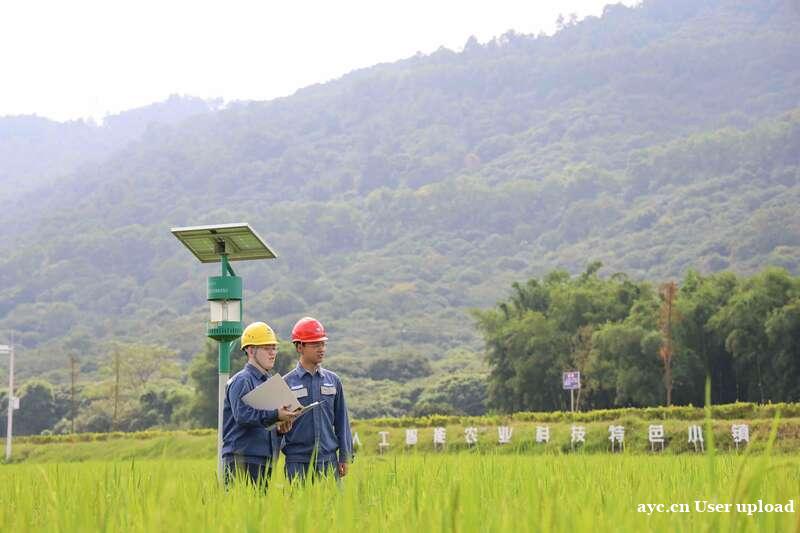 每度电支撑广州GDP超25.1元“获得电力”迈进世界一流水平