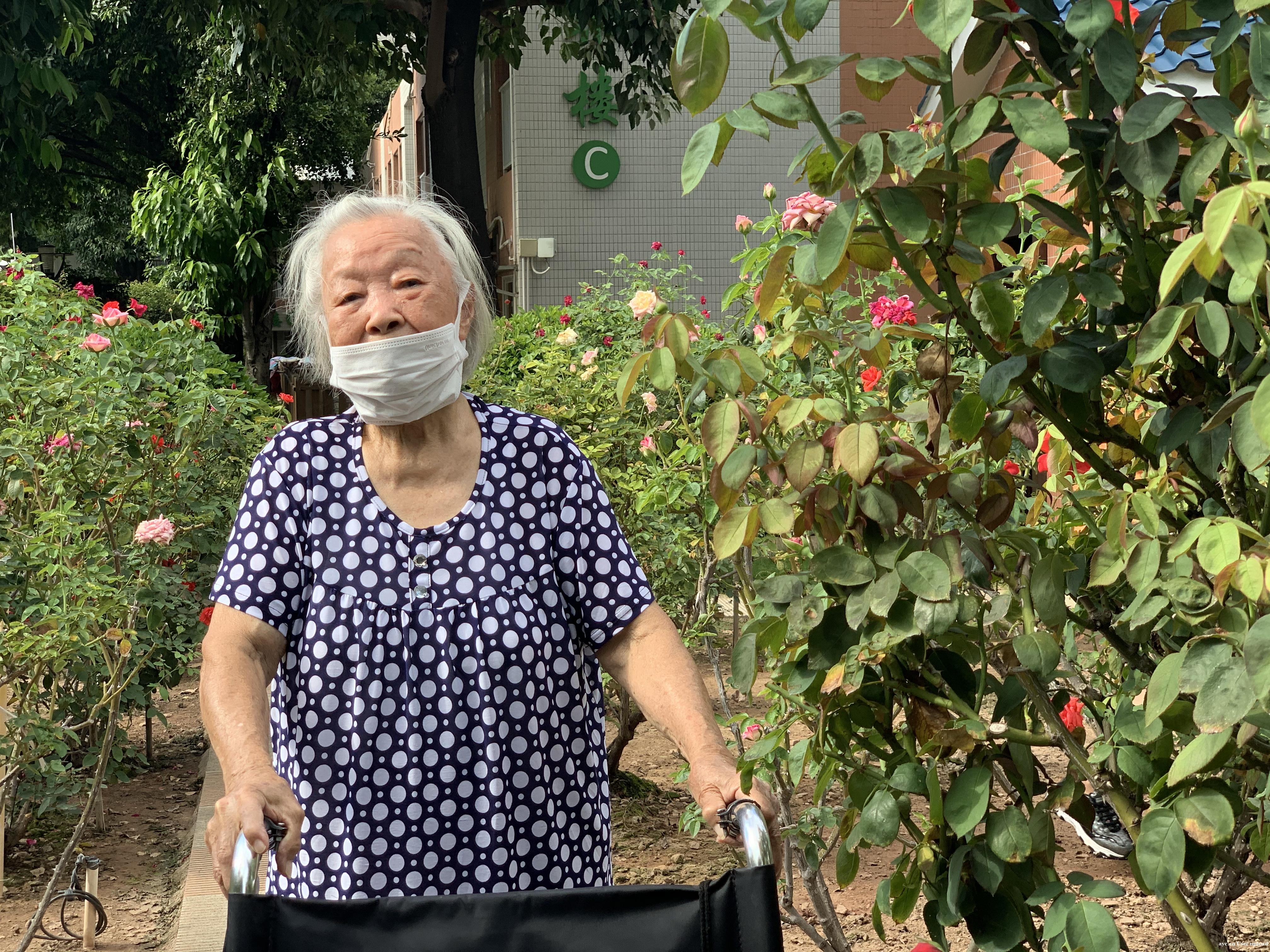她提着中药走进养老院，却意外找到了想要的生活……
