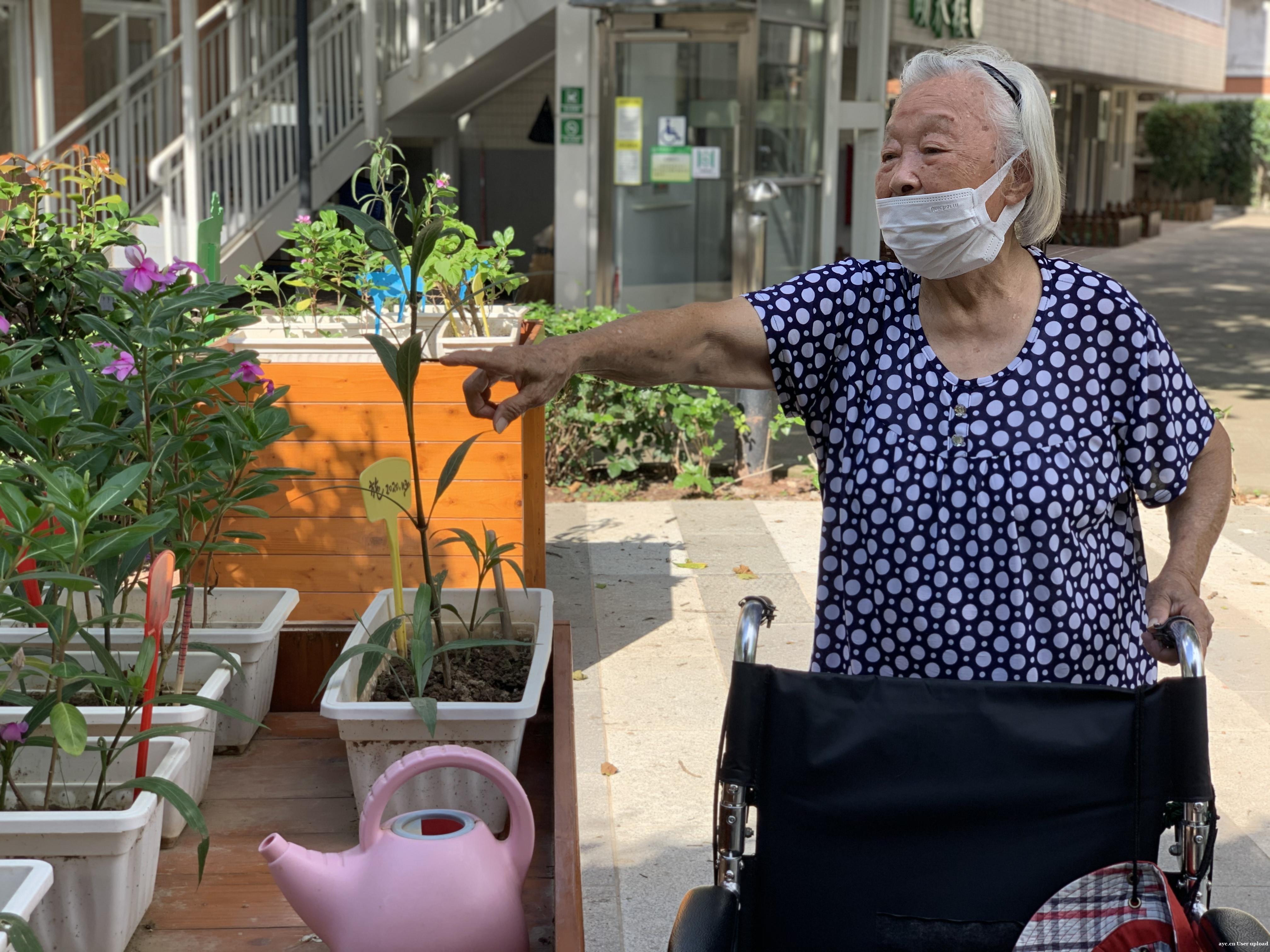 她提着中药走进养老院，却意外找到了想要的生活……