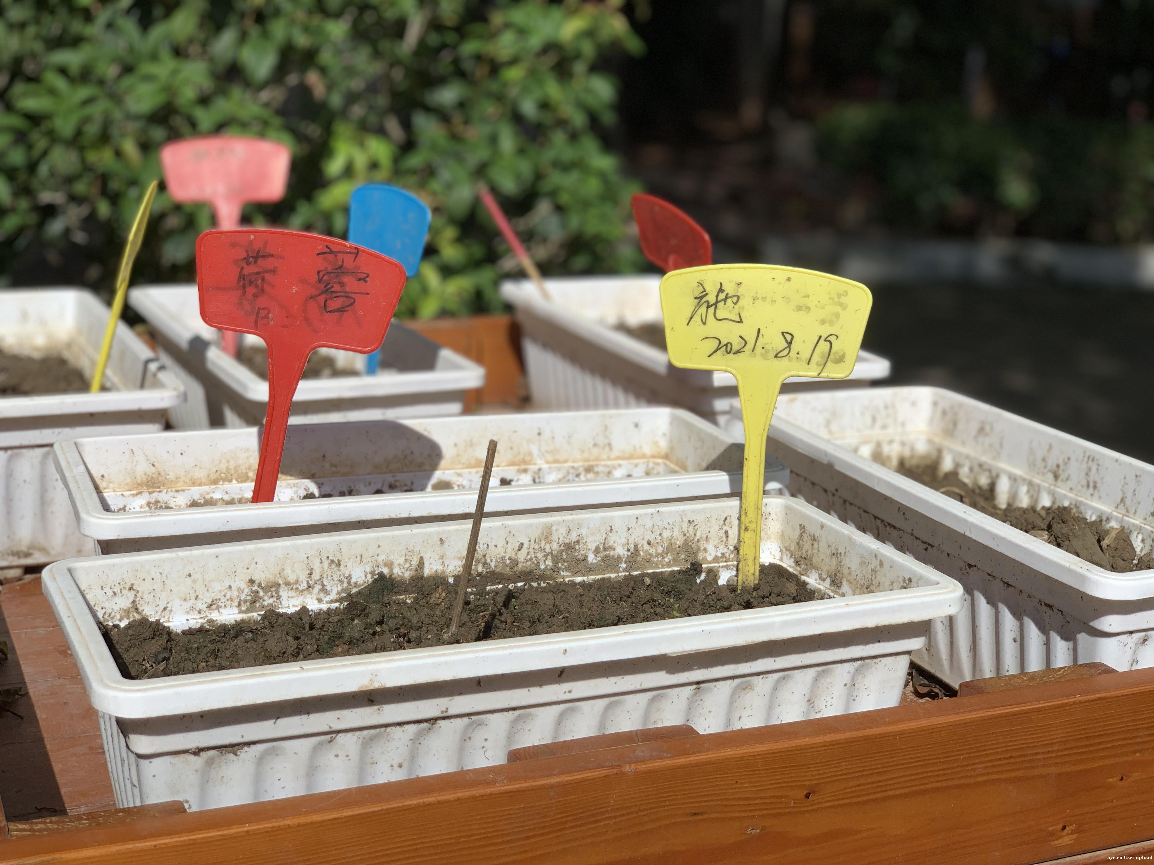 她提着中药走进养老院，却意外找到了想要的生活……