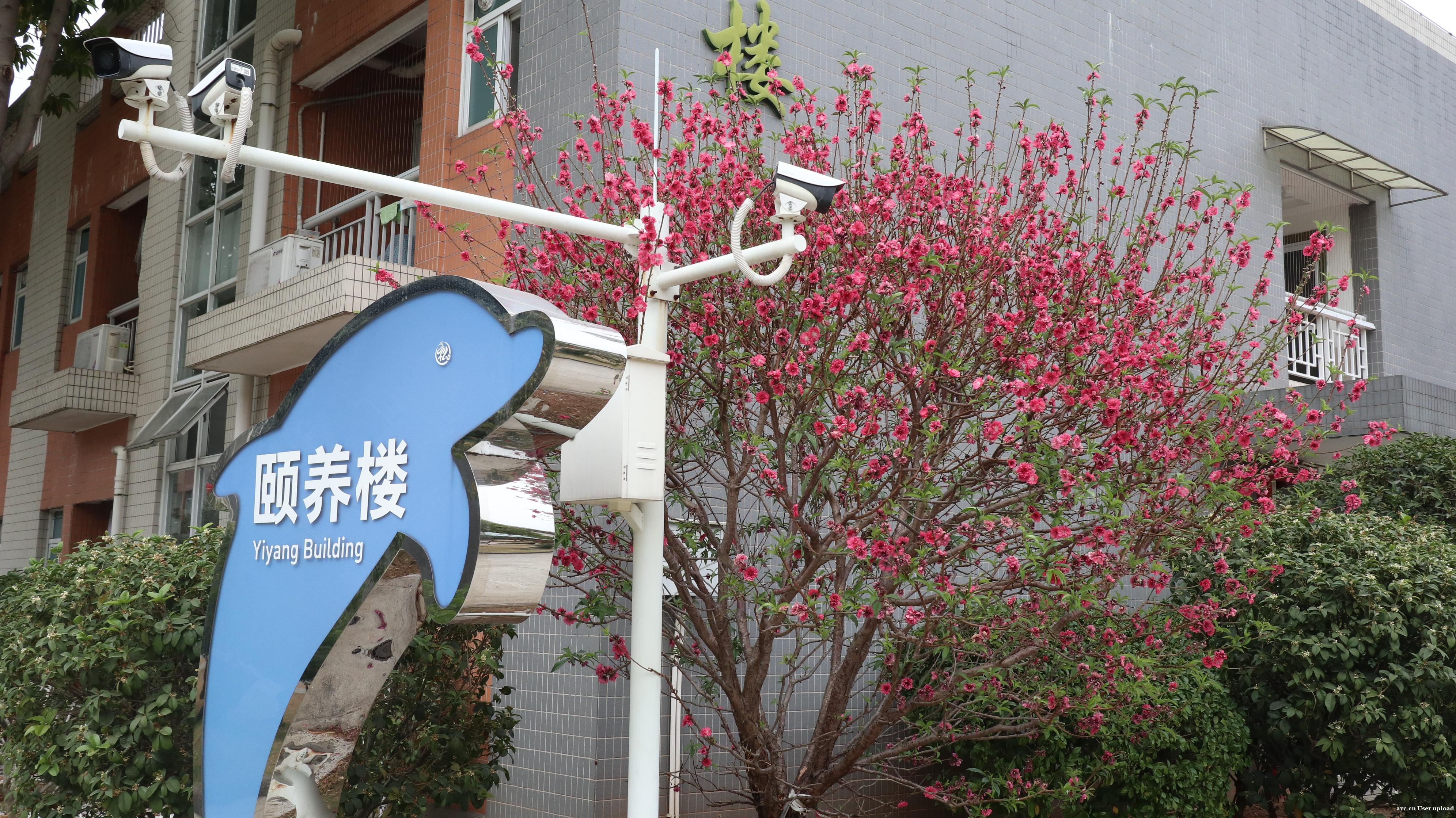 她提着中药走进养老院，却意外找到了想要的生活……