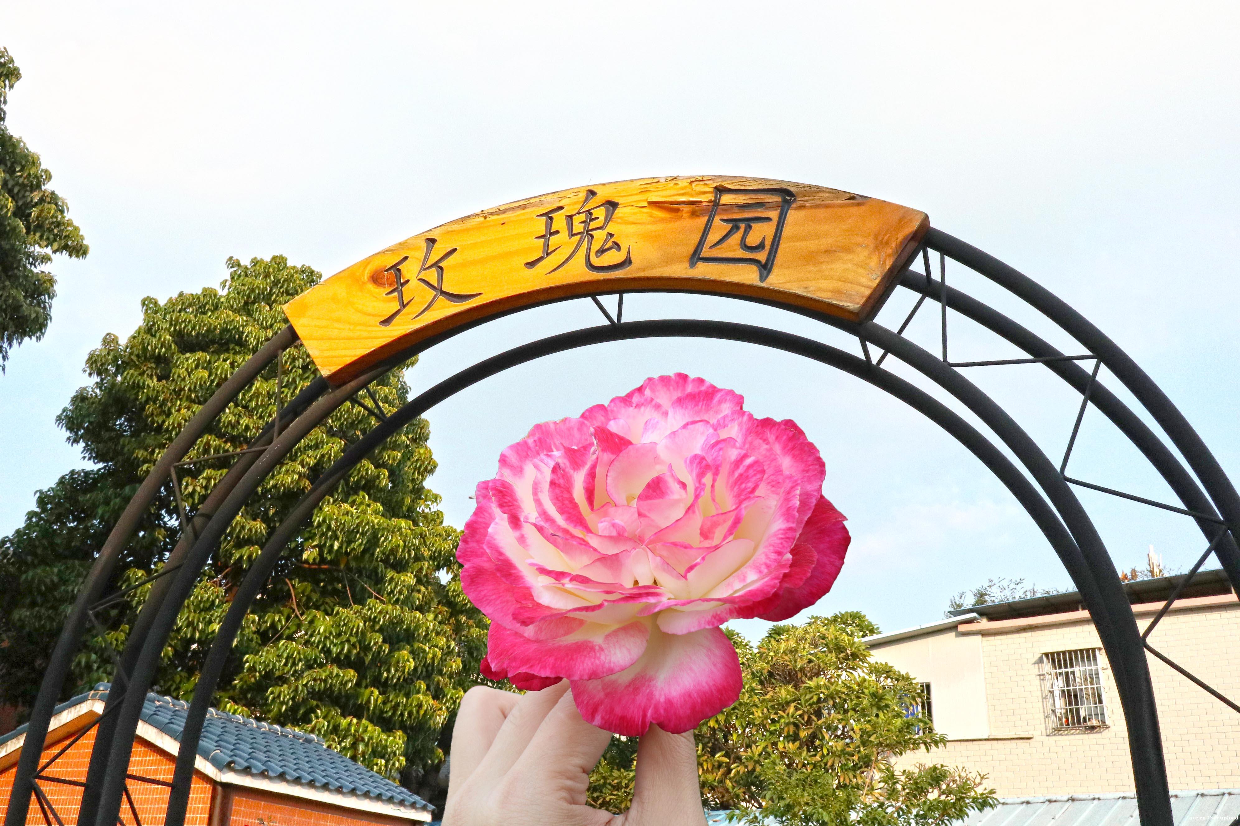她提着中药走进养老院，却意外找到了想要的生活……