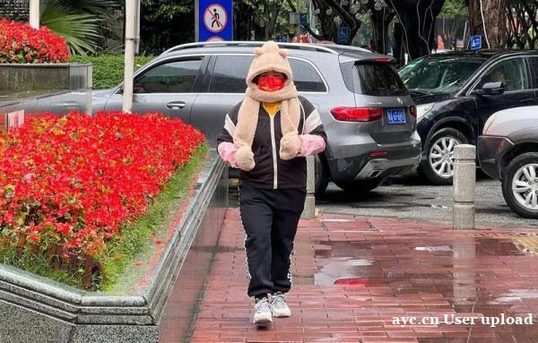 好冷……但广州竟未达到入冬标准
