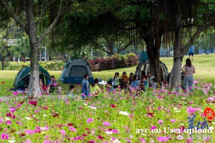广州拟规定：公园草坪搭帐篷需网上预约，禁飞风筝无人机