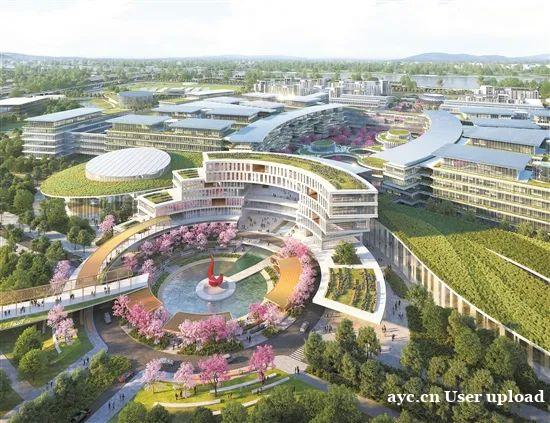 重磅！广州这4个片区，有大动作