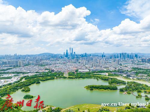 100%达标！6月广州空气质量很优秀