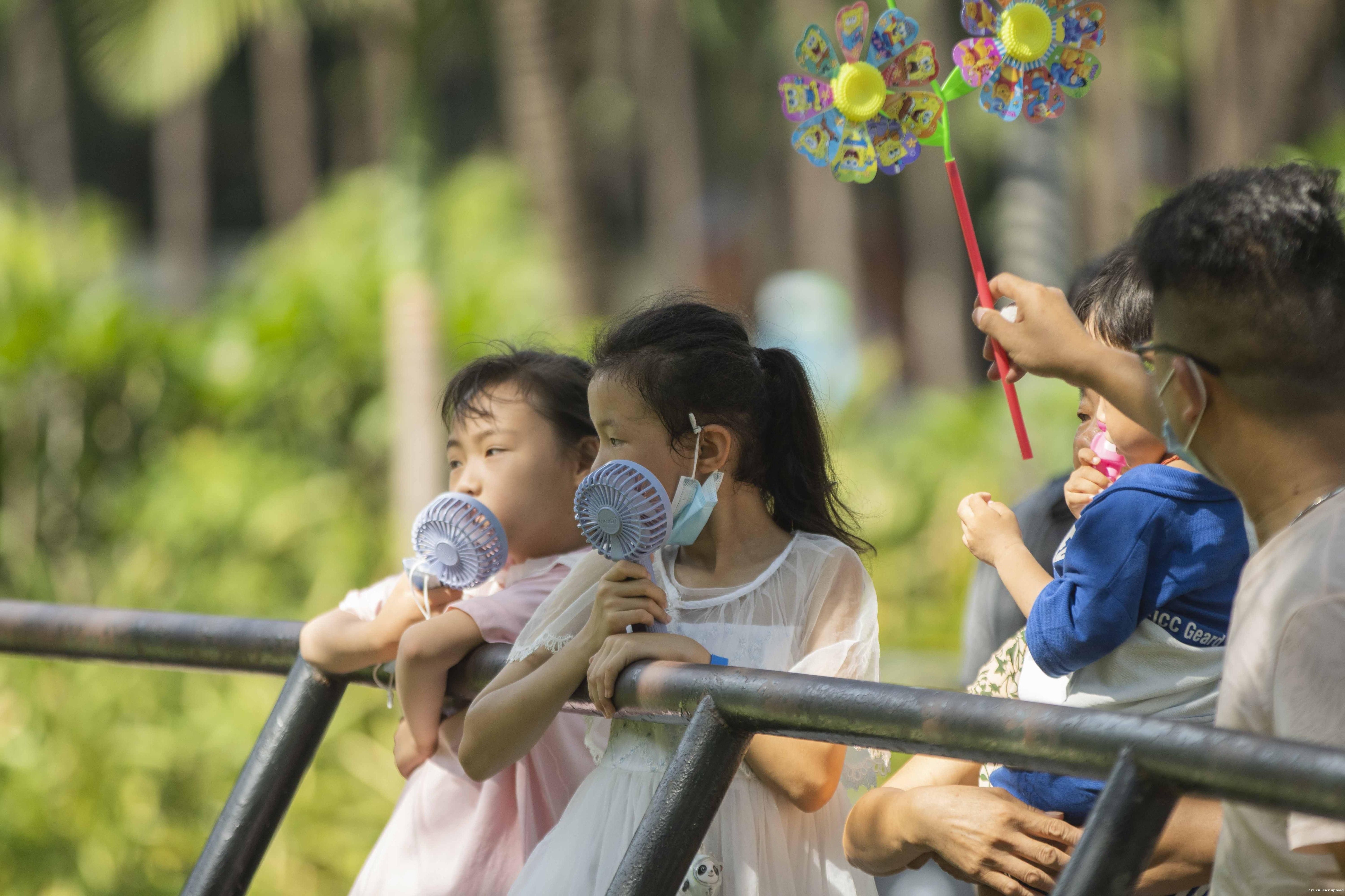 广州两地暂停参团游，暑期还能带娃出游吗？