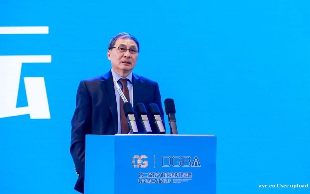 发展数字经济，粤港澳大湾区最有优势