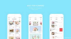 鲜花电商APP开发